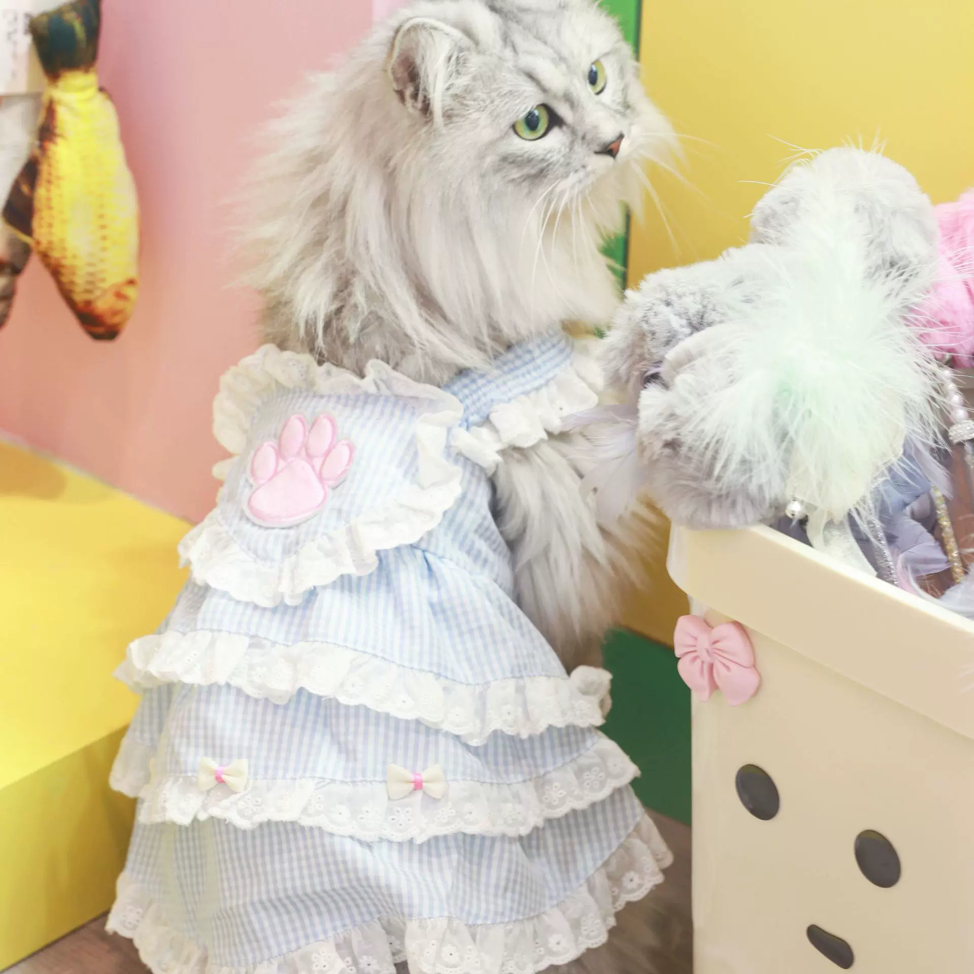 宠物公主裙衣服宠物狗狗衣服宠物服装春夏季新款洛丽塔ins风蕾丝