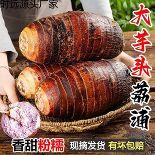 �V���������^10���߲��ش���������ë��Nֲ�������r�����l