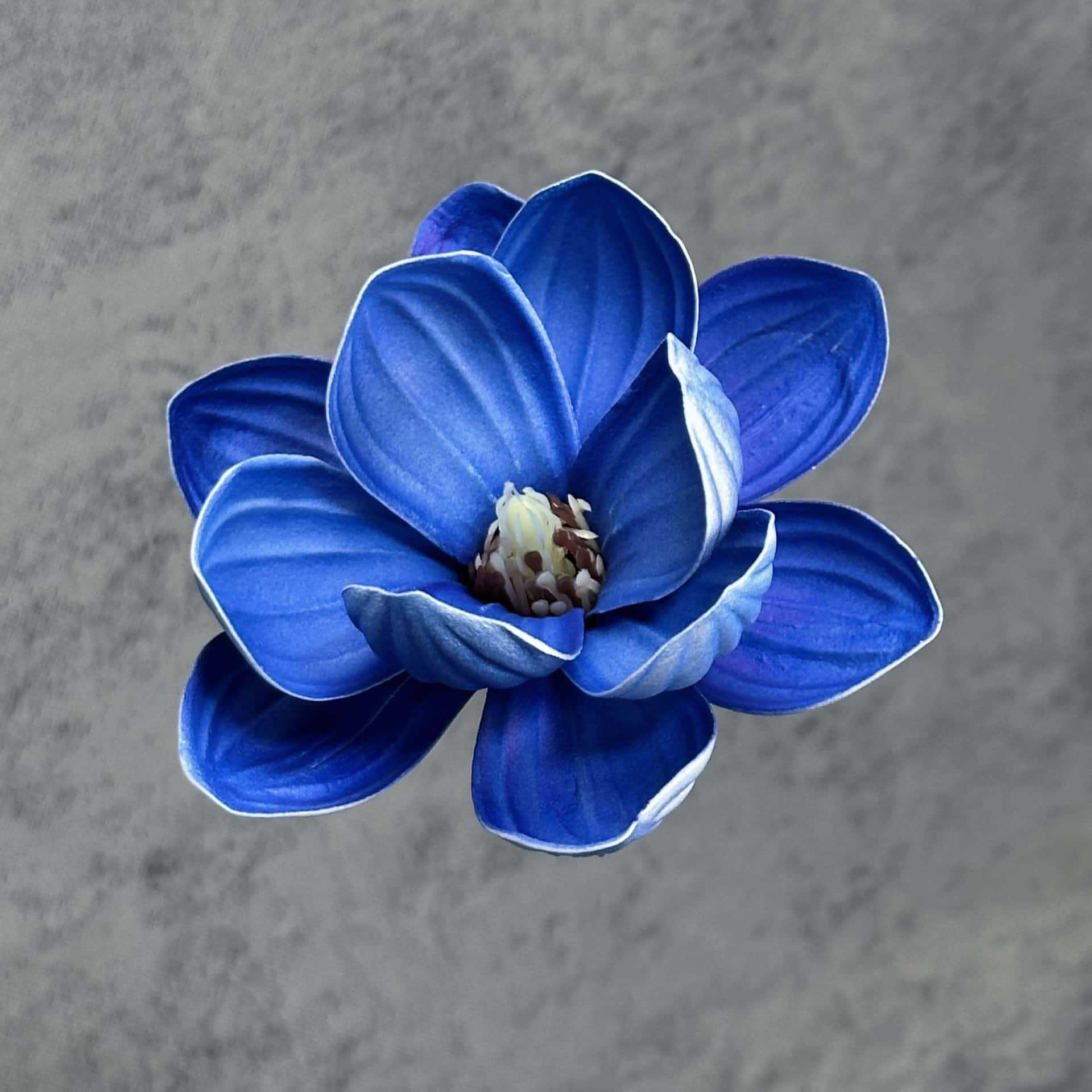 Flor de simulación transfronteriza EVA cabeza de magnolia 13cm tacto tocado kapok decoración decoración decoración flor falsa al por mayor