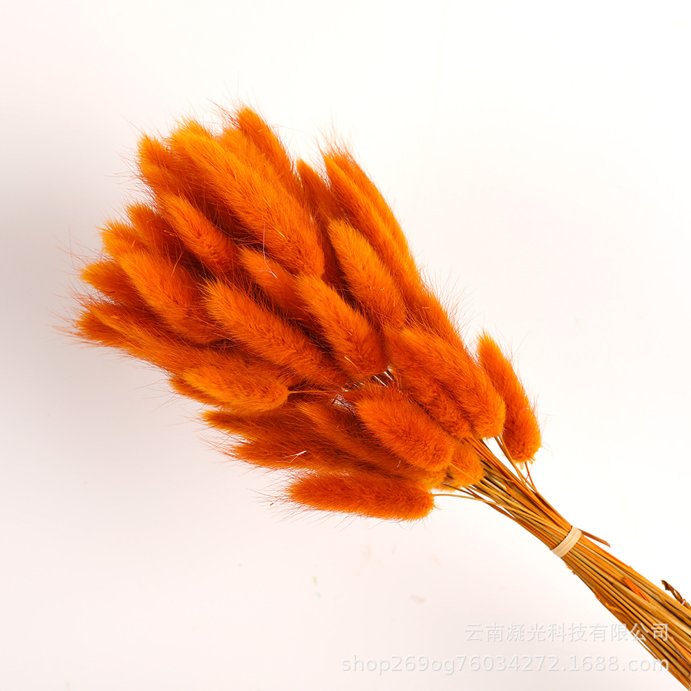 흙 같은 노란색