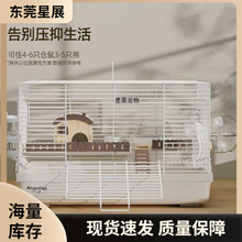 �}��\�ӽ�z���F�z���A�e����Խ�z����g����ȫ���p�ӸC