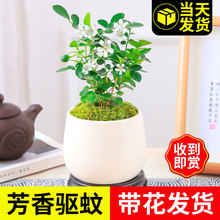 �ļ��_�����������������Ϙ�ˮ�����ֲ���҃ȾGֲ����ذ��Ϙ���