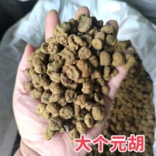 中药材元胡个 元胡碎批发零食大货现货产地新货散装元胡可磨粉