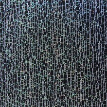 ���y�òʁy�W��춸����ز����b����r�����b