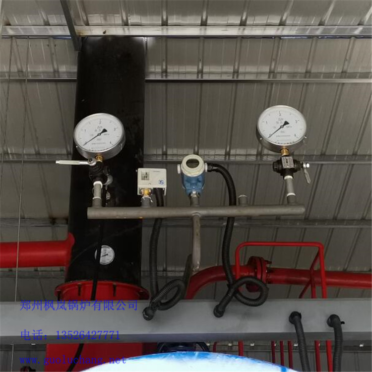 烧甲醇蒸汽锅炉 油气两用蒸汽锅炉 快装锅炉 枫岚锅炉