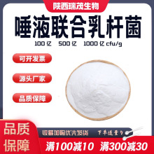 唾液联合乳杆菌100亿唾液乳杆菌后生元肠道食品级益生菌发酵粉