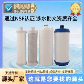 沁yuan滤芯插入式PPCTOUDF饮水机滤瓶前三级颗粒活性炭滤高效除氯