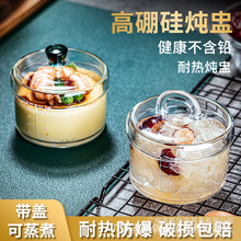 炖盅高硼硅透明带盖双耳玻璃锅加厚明火耐热防爆韩式汤锅家用奶锅