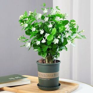 �������M�h�ذ������҃ȾGֲ���B�ļ������ֲ̨��һ���t����