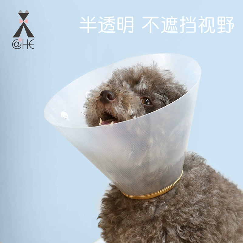 Золотое кольцо для домашних животных Elizabeth Beauty кольцо ошейник пластиковое защелкивающееся защитное кольцо против укусов против лизания