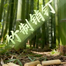 木销木榫木楔木塞圆木棒木肖木钉木梢竹销竹钉竹销钉家具连接配件