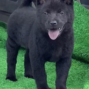 ���Ȯ��Ȯ���w����С��������A��@Ȯ�o�lȮ���̻����Ȯ���l