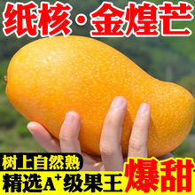 海南金煌芒9斤芒果一级大果新鲜水果现摘青甜心黄皮水仙芒整箱