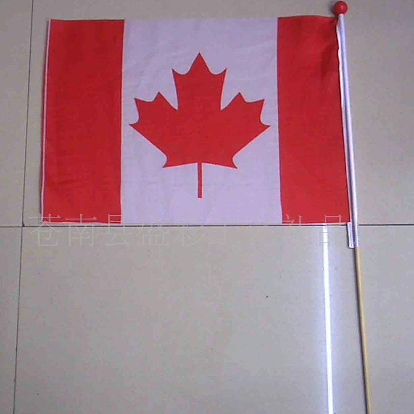 厂家制作 pvc手摇旗 pe手摇旗 彩色双面印刷 可印制客订logo