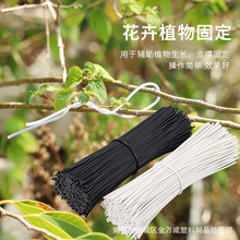 ���ð��z�F����|�������������Fо���z���܈@ˇˮ������������