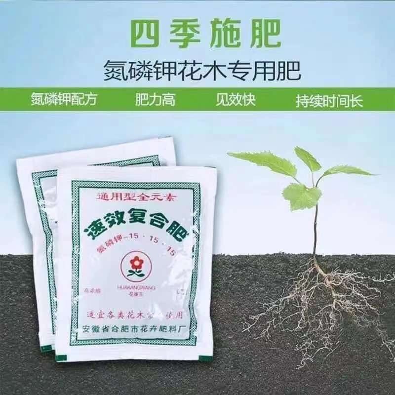 5bcc5c8a-f96d-4f6e-94b9-d78f819d7cf0.jpe