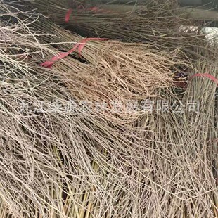 ��Ҏ���Rȫ���Θ�3���� �י�7���ִ��~��5���� �t�Θ�12���ָ�ֱ