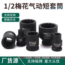 ʢ��12��С�L��÷������Ͳ 늄Ӛ��������Ͳ�^��1/2���w������Ͳ