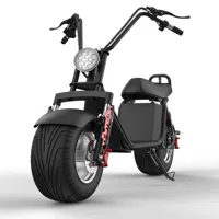 X20 Harley электромобиль скутер для отдыха двухколесный широкошинный электрический скутер литиевая батарея может сделать EEC