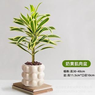 ��߅�ٺ��������҃ȿ͏d�оGֲ���F�������Ϙ��辰�ļ����B