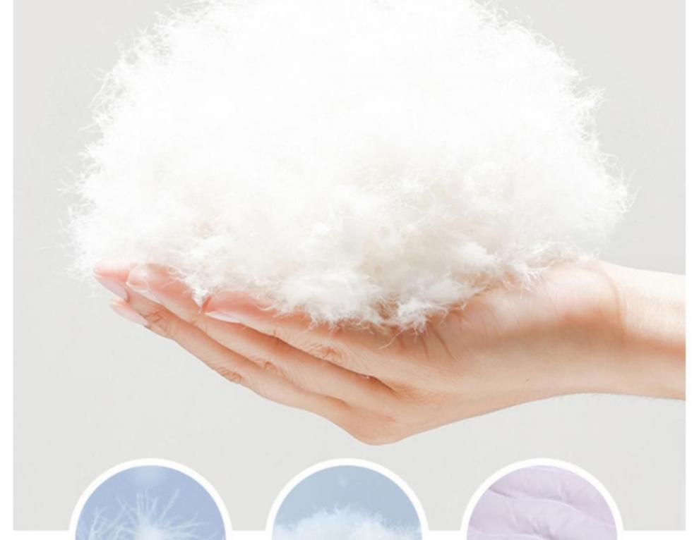 243156c4-f208-422b-bb1d-6ad6ccb4c9aa.jpe