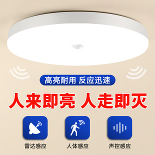 Led Sensor Ceiling Lamp Property Corridor Radar Human Body Automatic Sensor Lamp Indoor Engineering Energy-Saving Lamps Wholesale