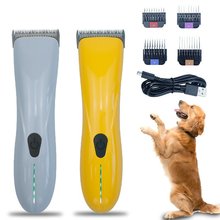 2025��Ʒ���ƿ羳������Ƽ���ë������؈�����l�����ӌ����LED