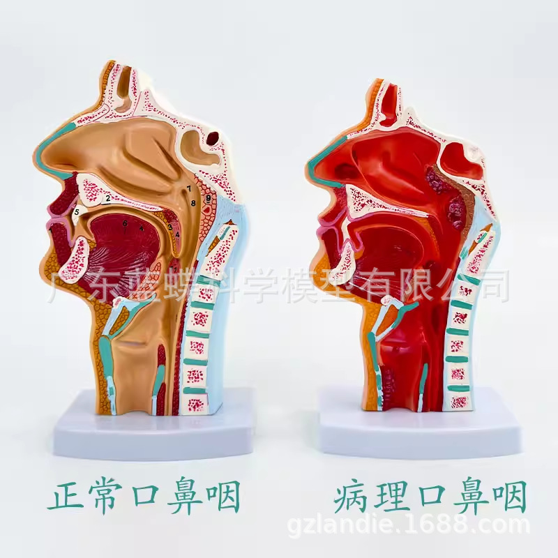 �����ǻ��ǻ �� ������ģ�� ����ʧ״�� ����ǻ ���Ǻ���ģ��