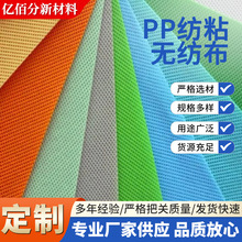 PP���c�o���� 2026�S���¿�PP��ճ�o�����۱�ϩ�������F؛���l