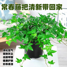 ߅ˮ໨ֲ҃ȴmGֲBȩL