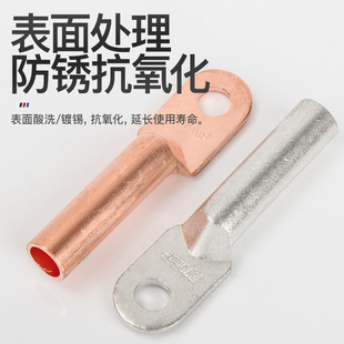 Genuine Phoenix Dt Copper Terminal Block Copper Lug Copper Connector Copper Wire Ear Copper Direct National Standard B Grade Tinned Copper