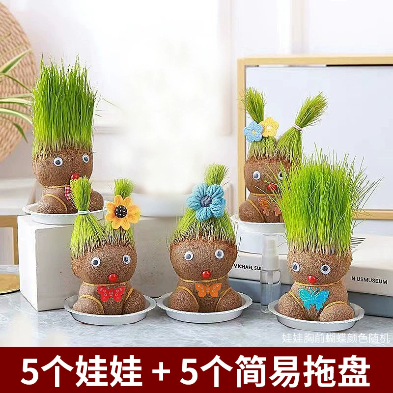 [批发草头娃娃浇水头上长草人绿植长头发儿童好养种草幼儿园桌面小]