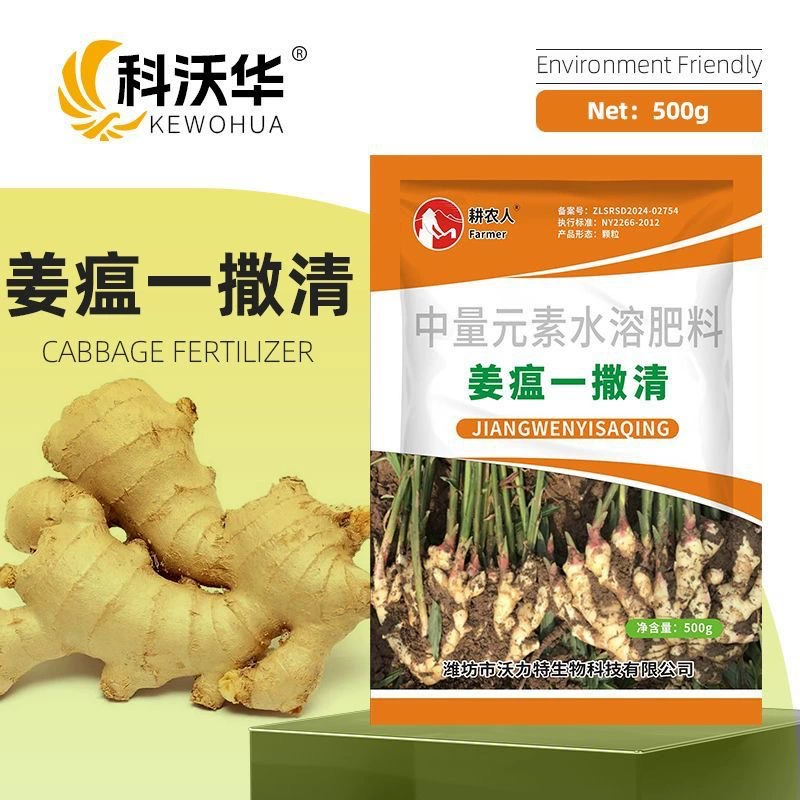 Микробное удобрение Covohua Ginger Plague улучшает профилактику антракноза и гниения листьев при болезни имбиря. Специальное удобрение.