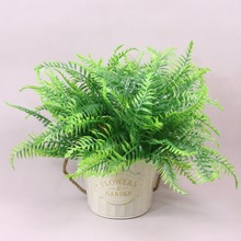 羳ާ~ާ˹ֲާֲb˹~~βާ