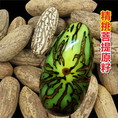 超大果千眼菩提子原籽原料红绿色成品帝王绿星月菩提果手把件手串