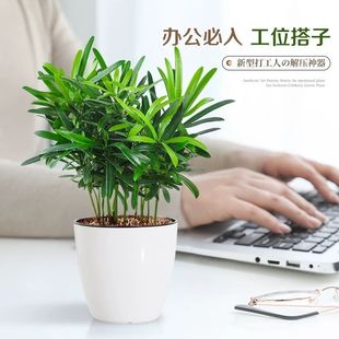 �_�h���҃�����С���ԃ����՚��ļ��������˺��B��ˮ������͏d