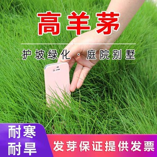 �S�����l����é��ƺ�N���ļ������o�¹����ͺ��ͺ�ͥԺ����