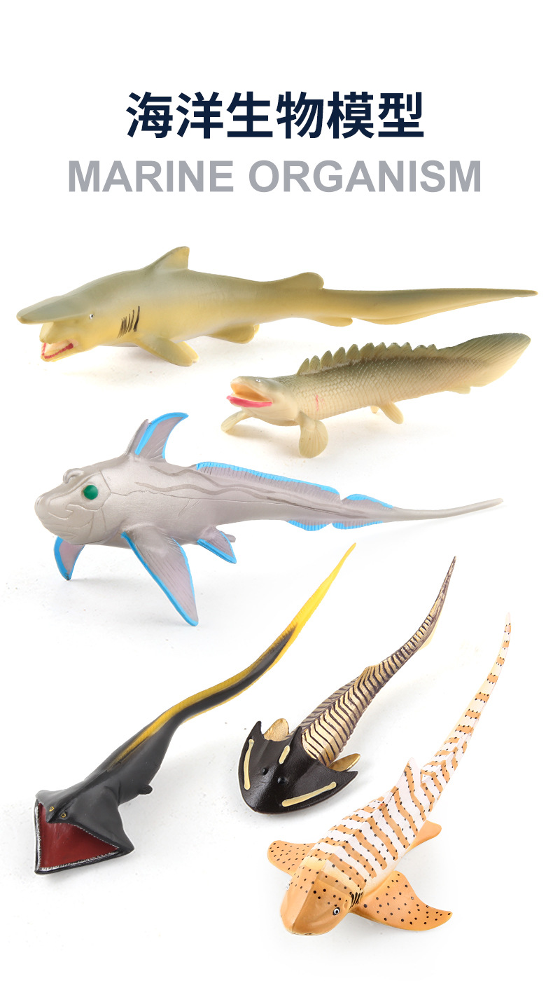 海洋生物模型玩具