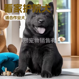 ���N��tȮ�V�����CȮ���Ȯ���^���߼tɫ���������oԺ���A��@Ȯ