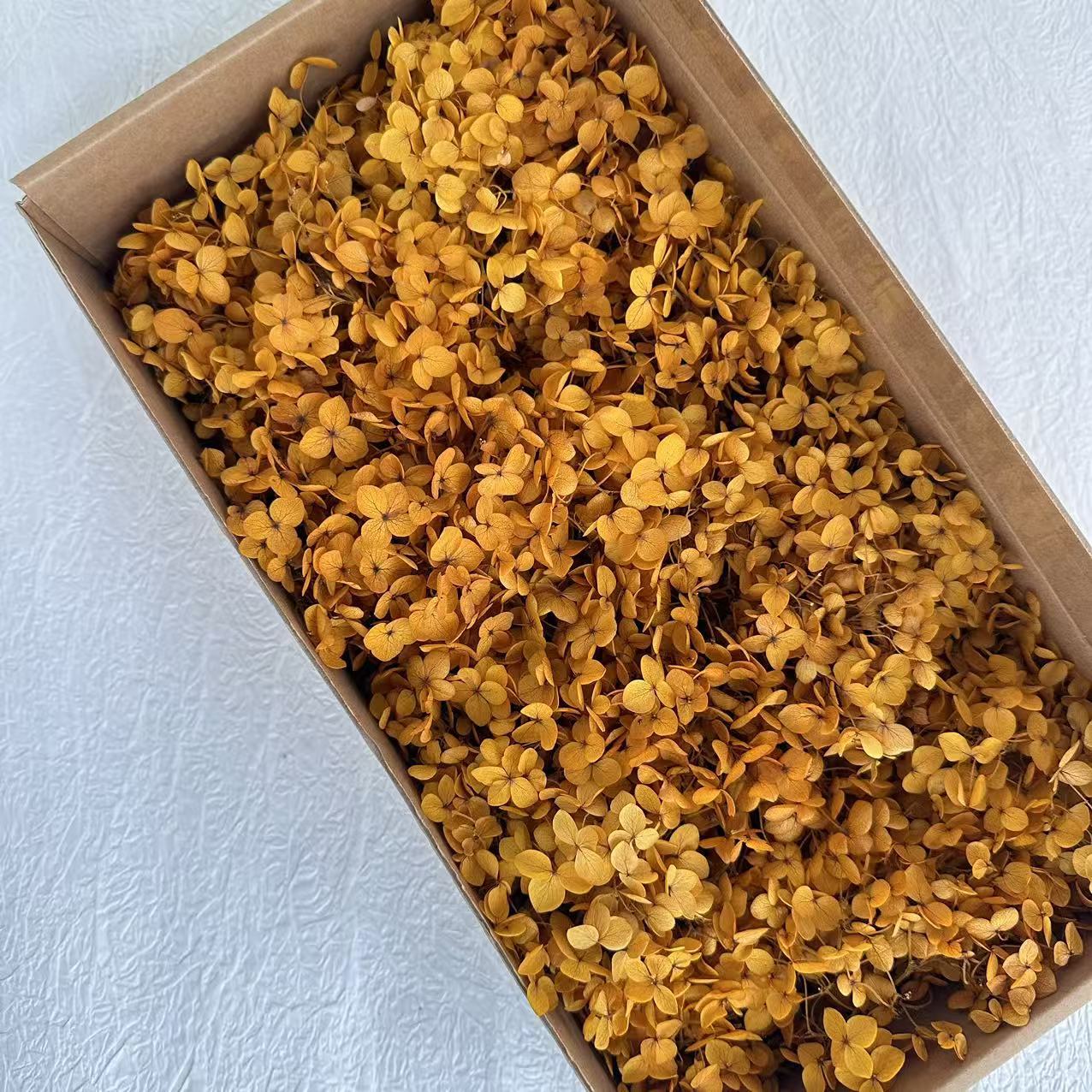 Jaune absorbant la couleur / 5G en boîte