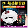 NB networking Smoke Alarm Smoke Alarm customized