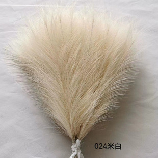 �羳��������˹�ݻ�c�����ֹ��@ˇ�����b�����ë�JȔë���l