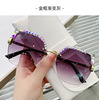 Fashionable multicoloured sunglasses, 2022 collection, internet celebrity