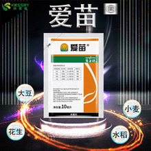 �rș���ױ��h���rș�����_���皢����ˮ��С�������󶹚�������Ʒ