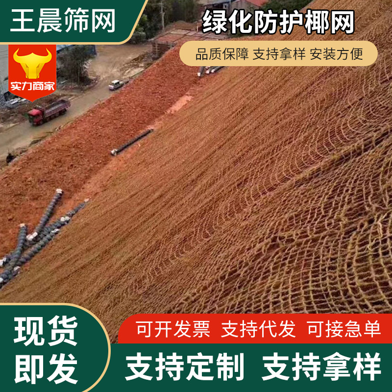 椰网批发 CF网荒坡治理椰纤维网 生态护坡喷播椰丝毯