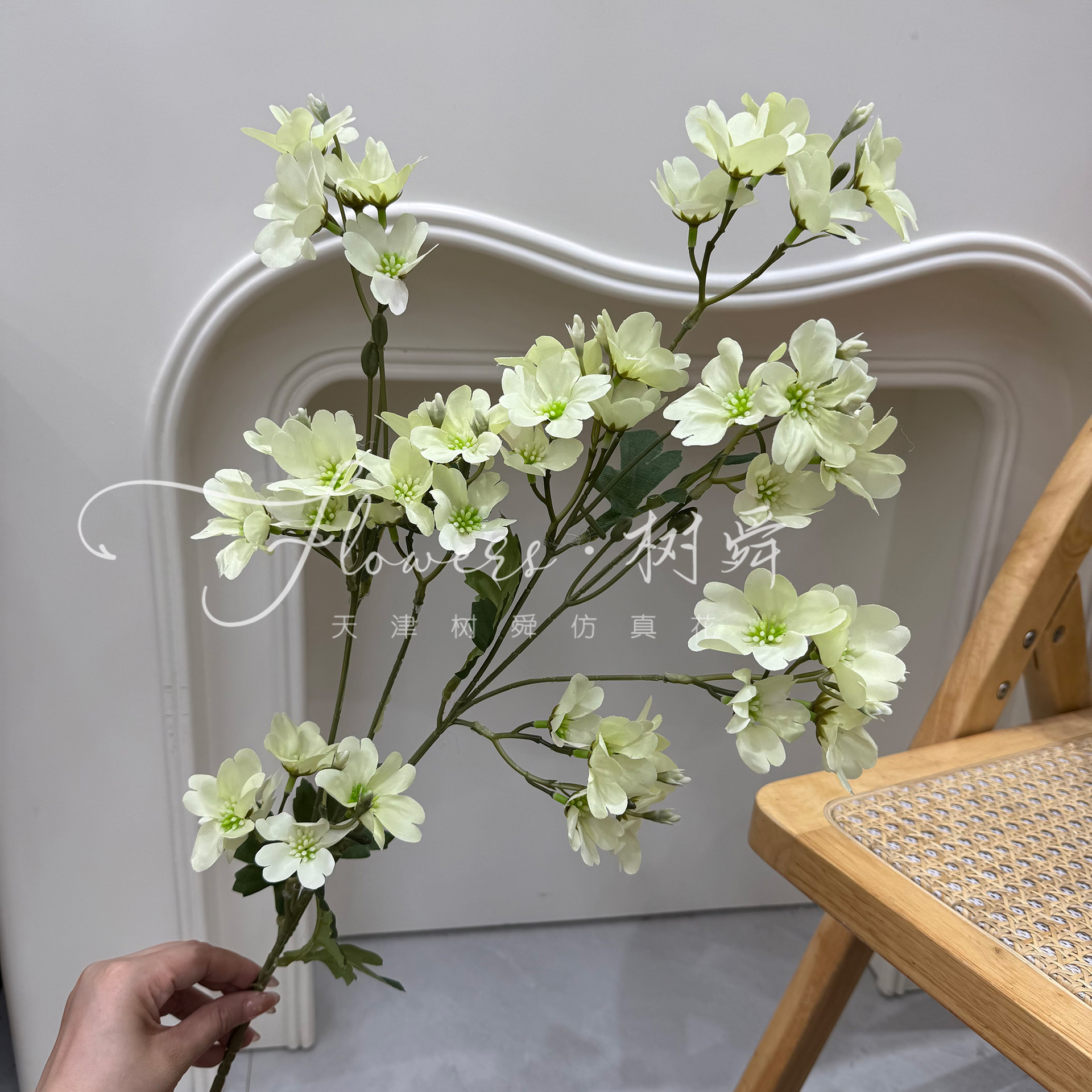 Edelweiss en ramas altas-verde