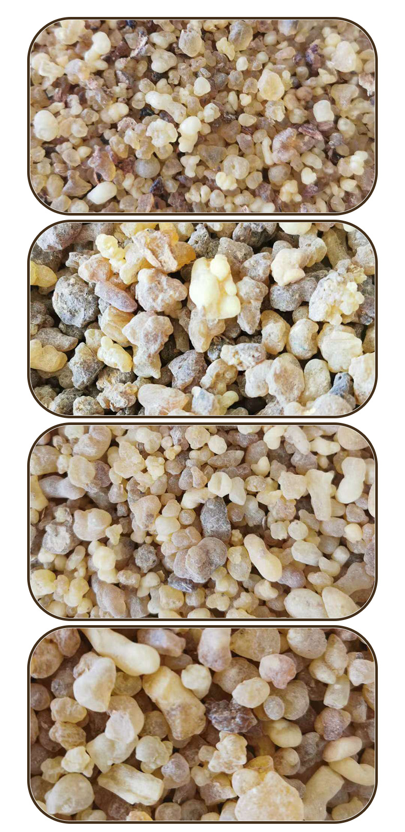Frankincense Resin Beads Ru Xiang 500g Dried Boswellia Gum Resin for Traditional Herbal Use specifications
