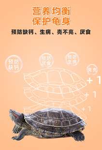 6Bvq Turtle Food Turtle Feed Small Grass Turtle Brazilian Turtle Food Shrimp Dried Fish Young Turtle Large Turtle Crocodile Turtle Universal