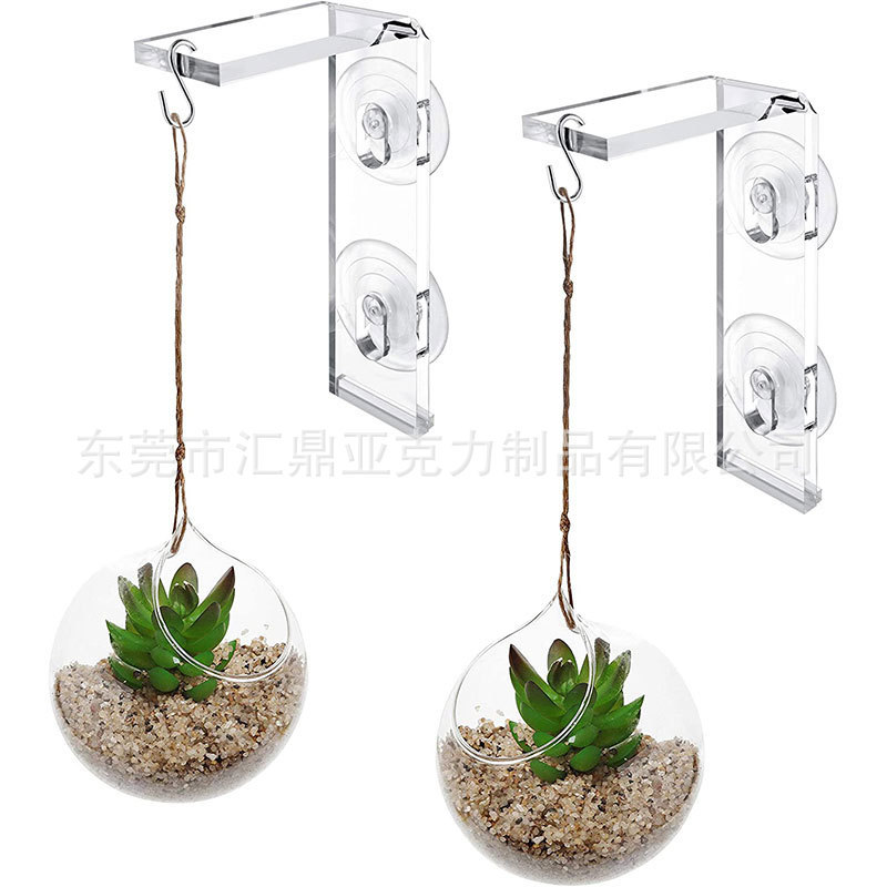 Acrylic Transparent Potted Flower Display Rack Succulent Plant Fake Wall-Mounted Suction Cup Indoor Garden Display Rack