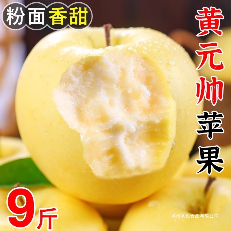 正宗黄元帅苹果9斤新鲜水果应当季粉面黄金帅黄香蕉粉面脆甜可口